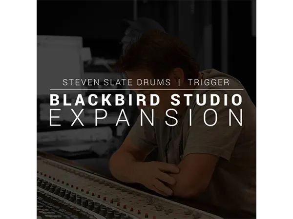 Steven Slate Drums Blackbird Studio Expansion For Trigger 2