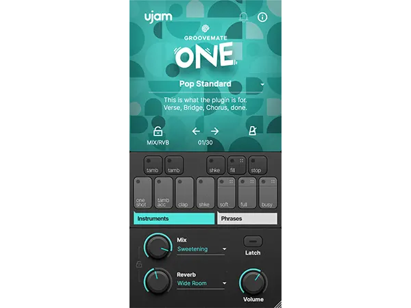 Ujam Groovemate One