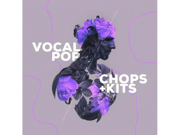 Audiomodern Vocal Pop Loopmix Expansion
