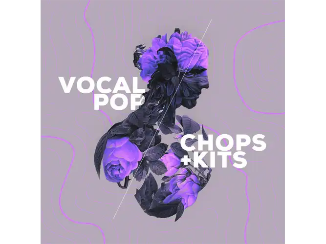 Audiomodern Vocal Pop Loopmix Expansion